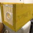 IMG_3567.JPG Asian hornet trap