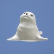 BB-phoque-2.jpg Baby seal ❄️