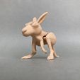 IMG_9696.jpg 3D file Jumping kangaroo・Model to download and 3D print