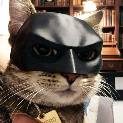 Inspired by Batman Pet Mask - Dark Knight Helmet for Cats and Dogs