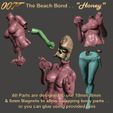 Image8.jpg The Beach Bond – Honey n Jinx – by SPARX