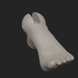 2024-03-21-20_55_45-ZBrush.png BJD doll feet on tiptoes 2 support and non support versions