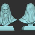 tangles.png Gandalf Bust - Ian McKellen - Lord of The Rings