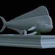Base-mahi-mahi-27.png fish mahi mahi / common dolphin fish statue detailed texture for 3d printing