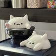 AB4DB1ED-3F9E-4506-B9CA-05455969A6B0.jpeg Cute Blob Cats