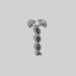 Mush-ADN.png Mushroom DNA Decoration - 2D Art
