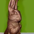 3.jpg Peter Rabbit