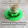 quickly.jpg Eco-Friendly Ant Trap  ♻️  🐜