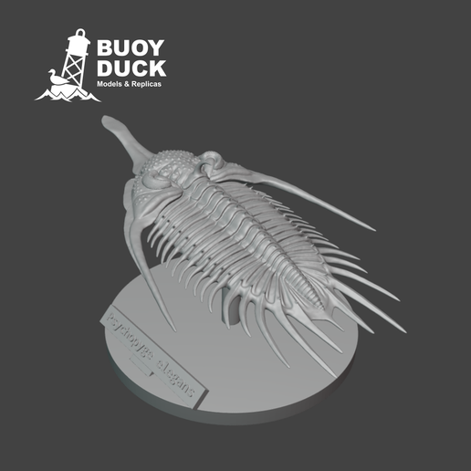 Psychopyge-Update-Cover-2.png Трилобит Psychopyge elegans