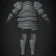 CatarinaArmorBackWire.jpg Siegmeyer of Catarina Armor for Cosplay