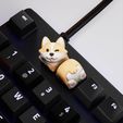 corgi_04.jpg Complete Keycaps Collection - Hikocaps - (Update March 2024)