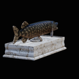 northern-pike-statue-box-1-2-1-9.png fish NORTHERN PIKE (ESOX LUCIUS) open mouth with storage space / for 3d printing
