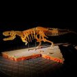 premium-dino-set-pic4.jpg [3Dino Puzzle]Large Dinosaur Museum Premium Set