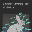 2.png Rabbit - Assemble Yourself Kit