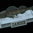zander-statue-4-open-mouth-1-19.png fish zander / pikeperch / Sander lucioperca  open mouth statue detailed texture for 3d printing