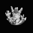 Coral03.png Coral Atropora Textured