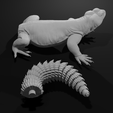 Pose3Parts-min.png Uromastyx - Spiny Tailed Lizard - Realistic Dabb Lizard Pet Reptile