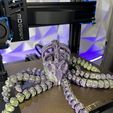 IMG_6844.jpg Octopus Skeleton Articulated Flexi Toy