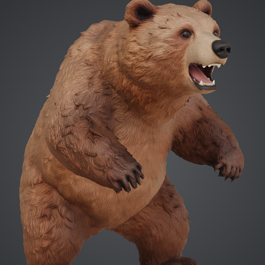 Bear3d