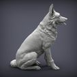 german-shepherd3.jpg German Shepherd 3D print model