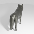 WolfRightBackRender.png Low Poly Wolf