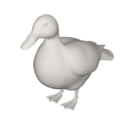 10000.jpg Duck