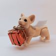 1610476191963.jpg Corgi puppy BJD