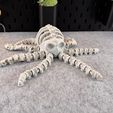 IMG_7988.jpg Articulated Skeleton Octopus