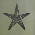 Starfish-2.png Starfish Wall Art