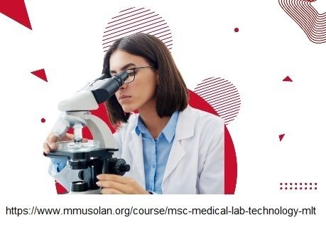 Msc mlt syllabus 3D model