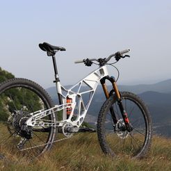 IMG_9157.jpeg 3D file MTB enduro bike・Model to download and 3D print