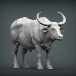 Asian-buffalo2.jpg 3D file Asian buffalo 3D print model・3D print model to download