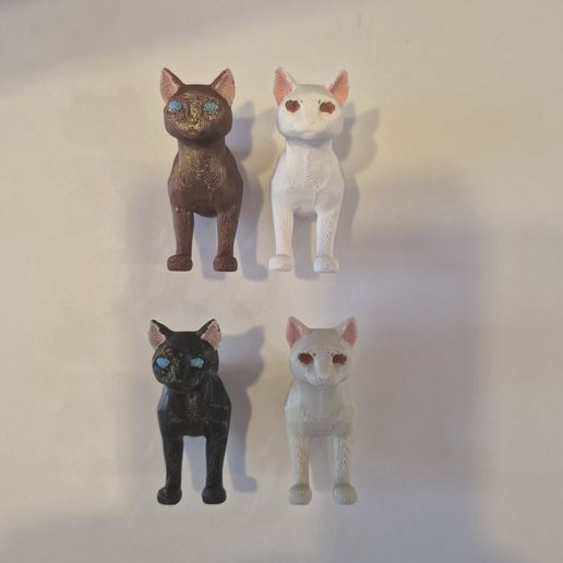 20251206_091036.jpg Íman para gatos