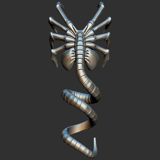 FaceHugger-Dread-Bead.jpg Conta FaceHugger Dread