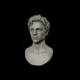 18.jpg Timothee Chalamet bust sculpture 3D print model