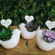 img1654186522090-1.jpg bird planter