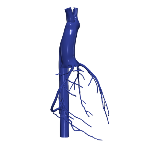 7.png 主动脉和冠状动脉 3D 模型 - 6 件装