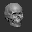 petes-skull-screenshot-1.jpg Pete's skull with seperate jaw