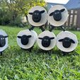 IMG_8150.jpeg SCHAF Higth PolyAdorable Sheep Toilet Paper Holders - 3D Print Your Own! 🐑🧻