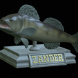 zander-open-mouth-tocenej-2.png fish zander / pikeperch / Sander lucioperca trophy statue detailed texture for 3d printing
