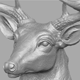 deer_1_a.png Deer head skulpture