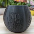 PXL_20230315_152707617~2.jpg Embossed fern pattern planter, plant pot with drainage hole, leaf, nature