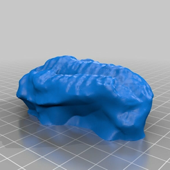 b050f5a9ee399cb0a93a50ea379c669a.png Free STL file Trilobite fossil・3D printable object to download, jboneng