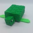 20240107_132354.jpg Minecraft Turtle