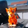 Simba roi lion