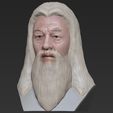 30.jpg 3D file Dumbledore from Harry Potter bust for full color 3D printing・Model to download and 3D print