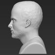 jesse-pinkman-breaking-bad-bust-ready-for-full-color-3d-printing-3d-model-obj-stl-wrl-wrz-mtl (25).jpg Jesse Pinkman Breaking Bad bust 3D printing ready stl obj