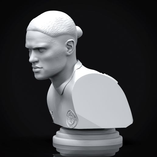 Preview_4.jpg Archivo STL Busto imprimible en 3D de Erling Haaland・Objeto de impresión 3D para descargar, niklevel