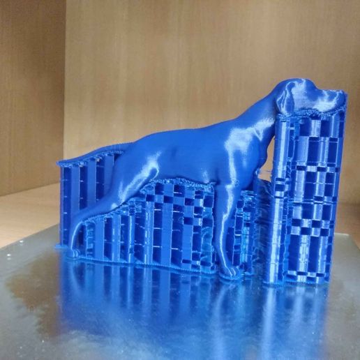 english-pointer-334.jpg English Pointer in hunt