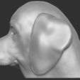 12.jpg Puppy of Beagle dog head for 3D printing